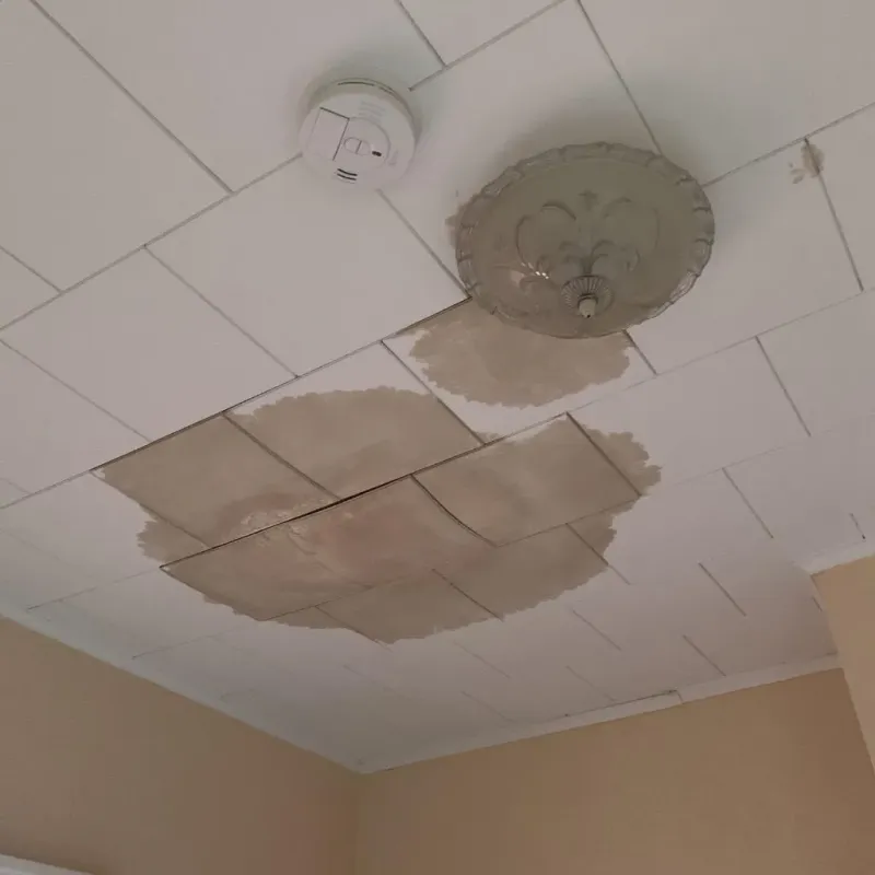 Ceiling Water Damage Repair in Walton, NY